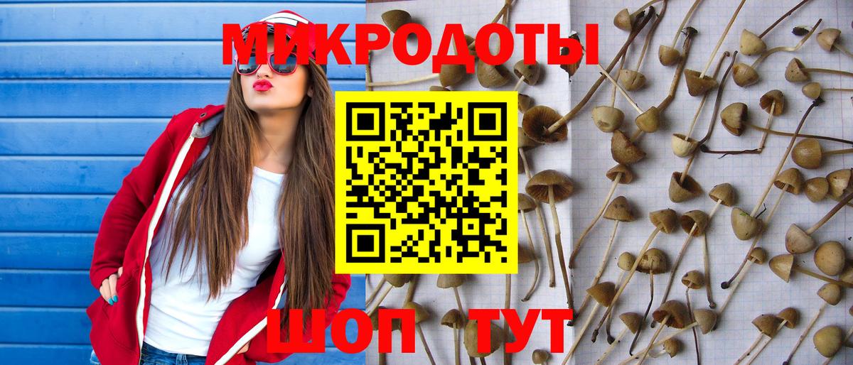 Белгород  Галлюциногенные грибы мицелий  Вход с VPN  Псилоцибиновые грибы Psilocybe 